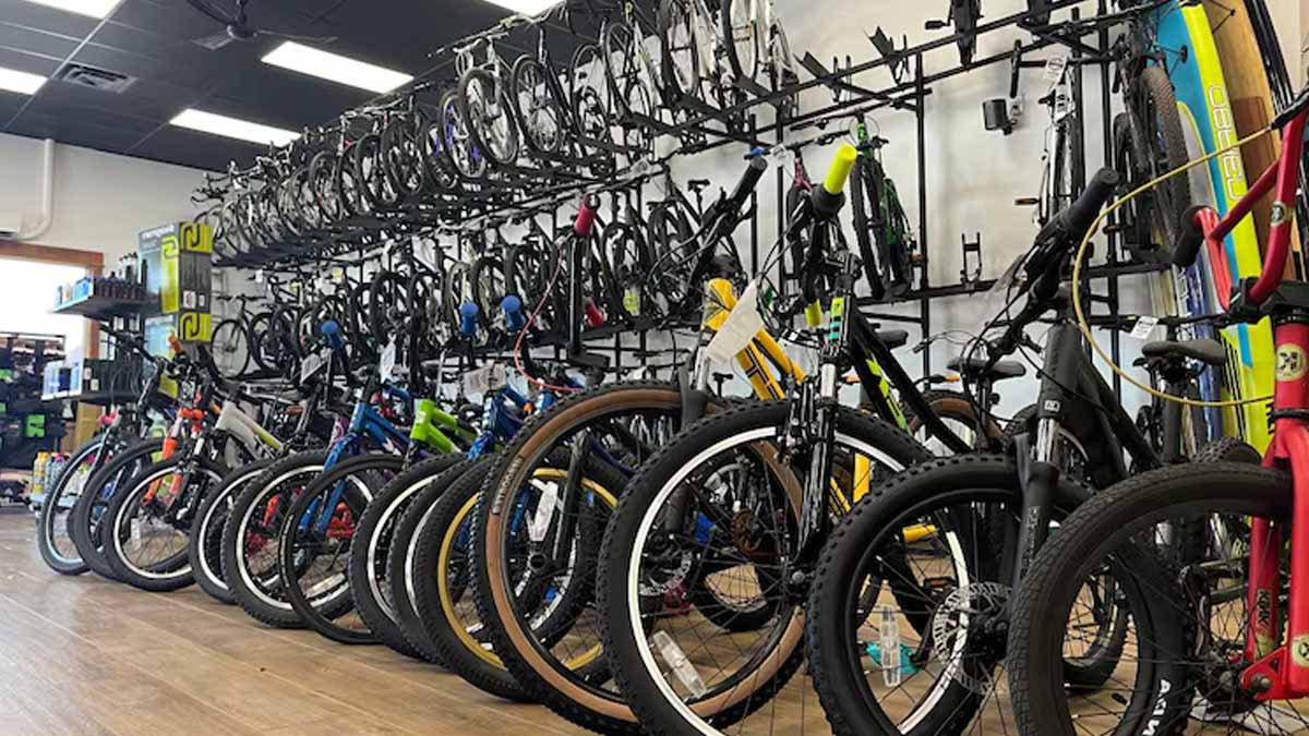 e-bikes