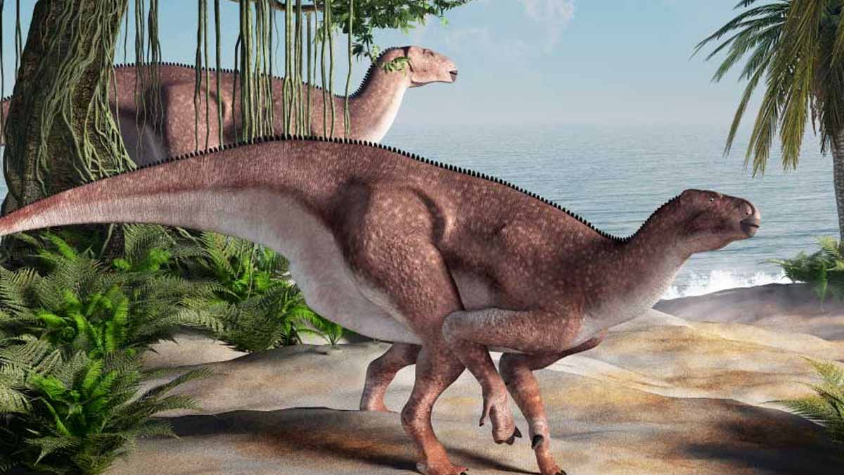 dinosaur species