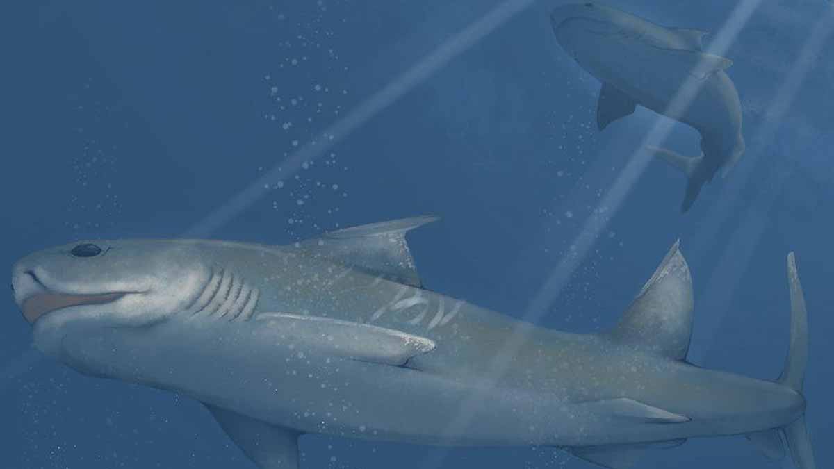 prehistoric sea monsters