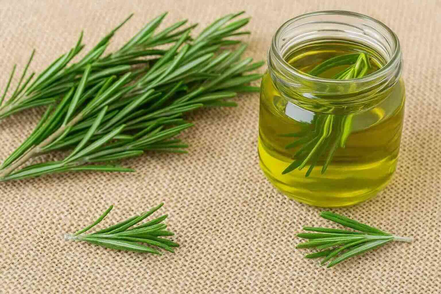 Rosemary